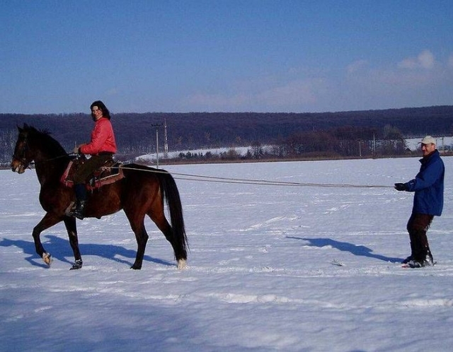  Skijoring cerca de Embrun 